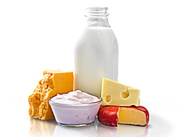 Dairy Products