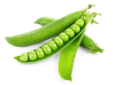 Pea